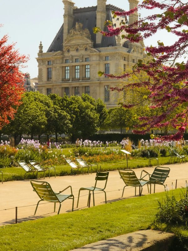 pexels-celine-3776818-14448269 pexels-celine-3776818-14448269